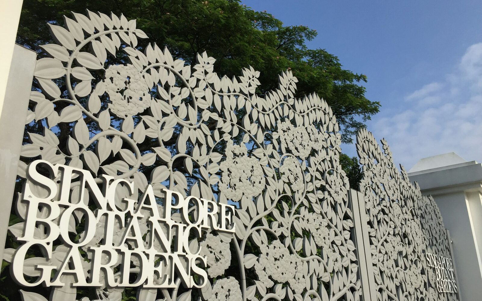 Backdrop Rental in Singapore for Events & Photos