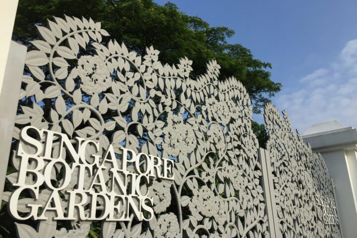 Backdrop Rental in Singapore for Events & Photos