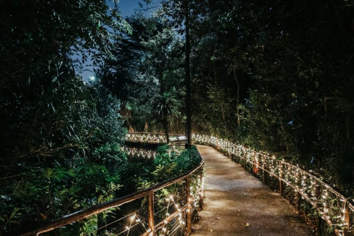 Event Spaces by Area: Orchard, Novena, CBD & Bugis