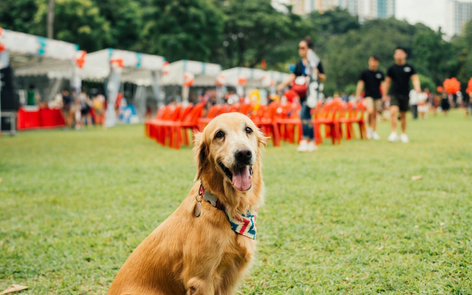 Pet-Friendly Event Spaces in Singapore